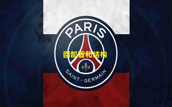 回部首和结构