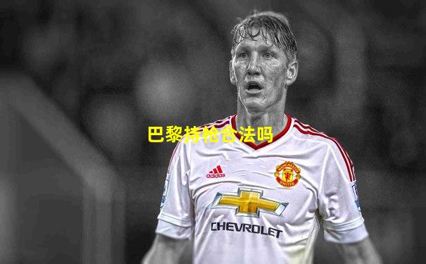巴黎持枪合法吗