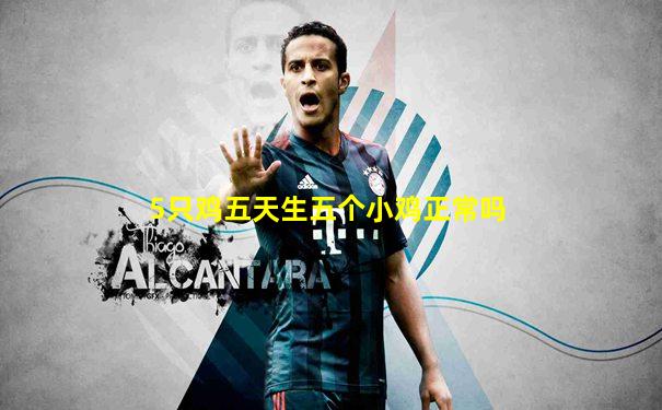 5只鸡五天生五个小鸡正常吗