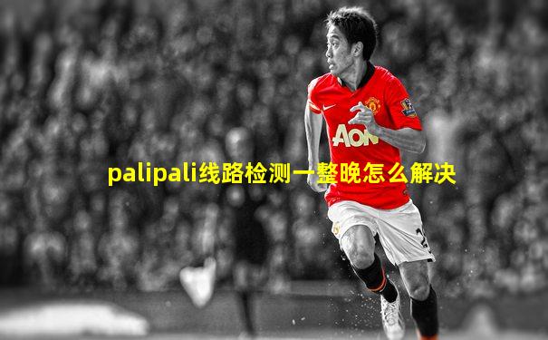 palipali线路检测一整晚怎么解决