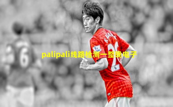 palipali线路检测一整晚电子