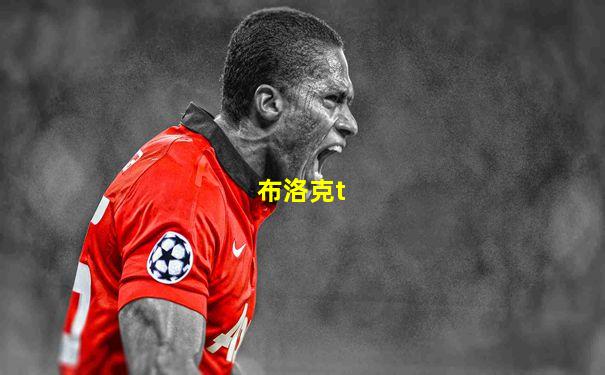 布洛克t