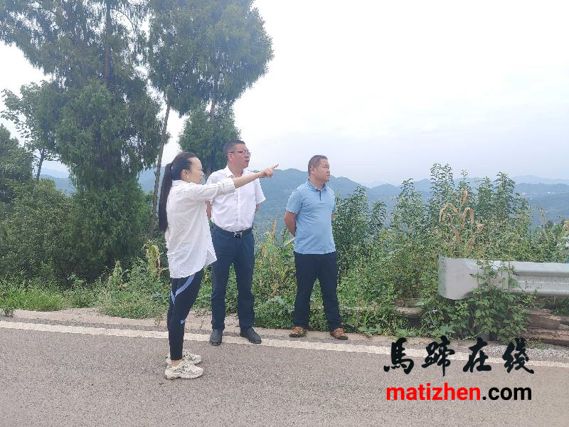朱明辉到马蹄镇指导防汛减灾、地质灾害防治工作
